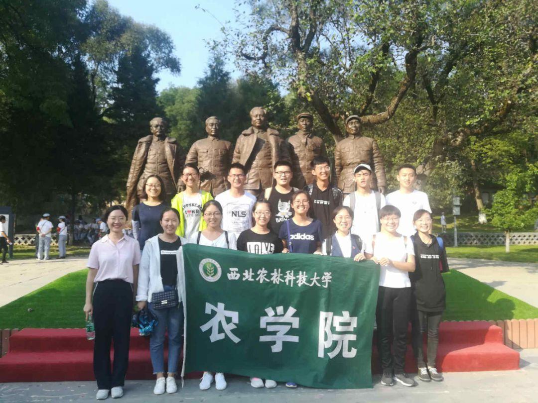 津媒：亚洲足球格局正在被打破，8.5个世界杯名额竞争会更残酷